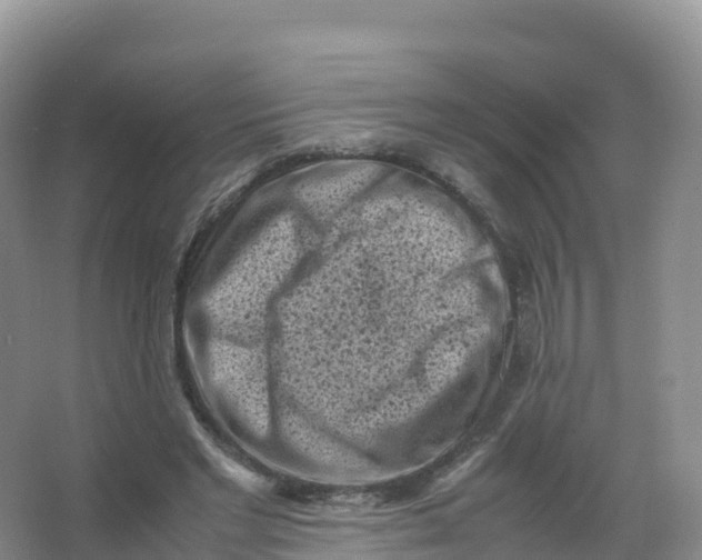 X0000066960493200604142119