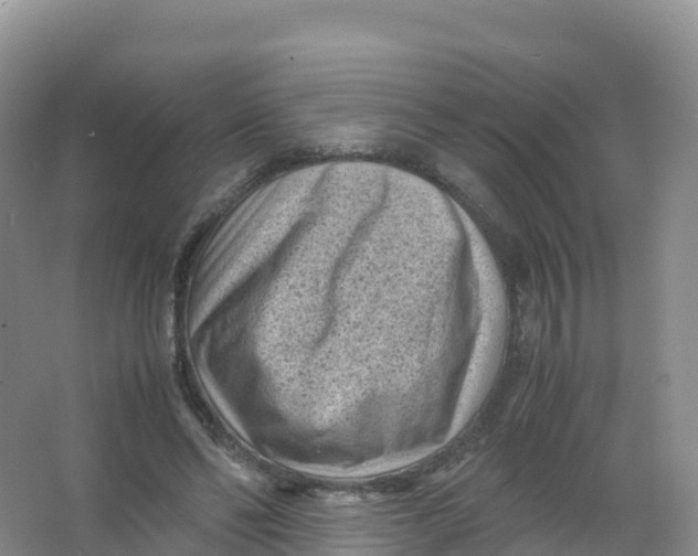 X0000066960494200604142119