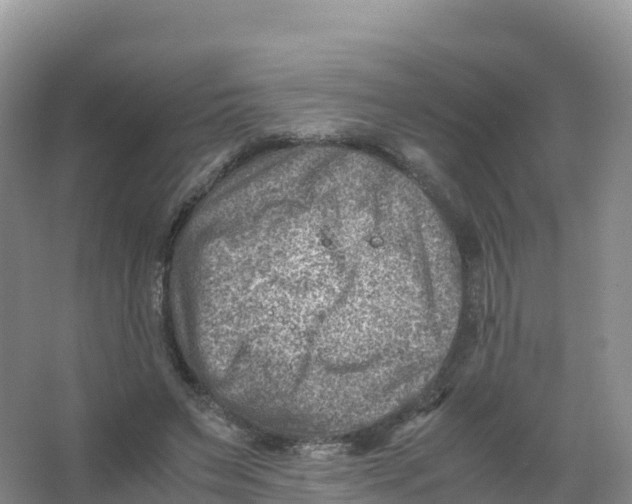 X0000066960495200604142119