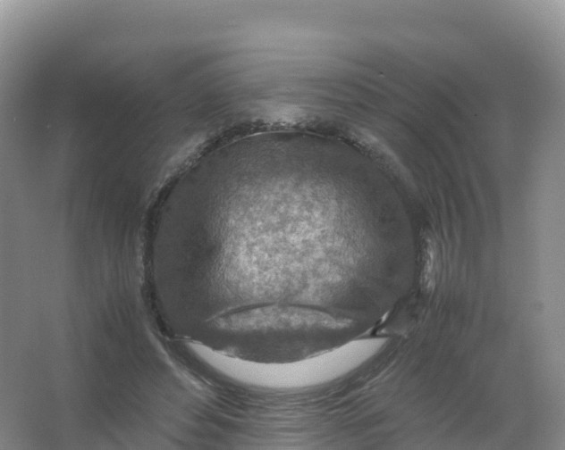 X0000066960496200604142119