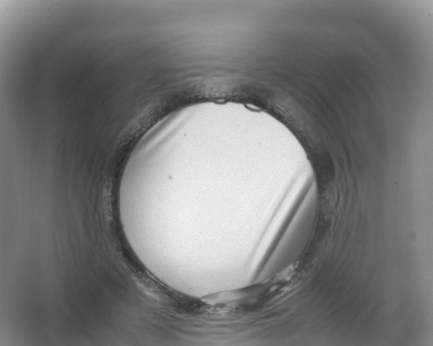 X0000066960497200604142119