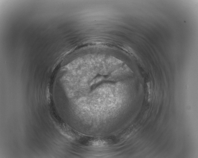 X0000066960500200604142119