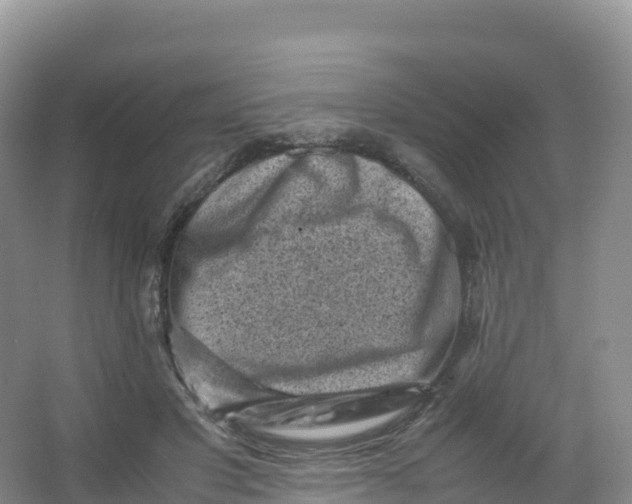 X0000066960501200604142119