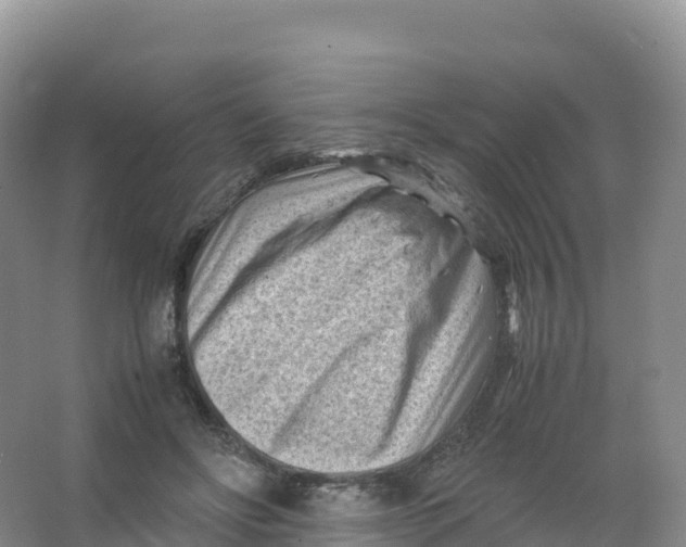 X0000066960502200604142119