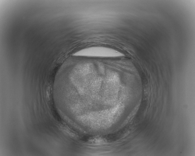 X0000066960503200604142119