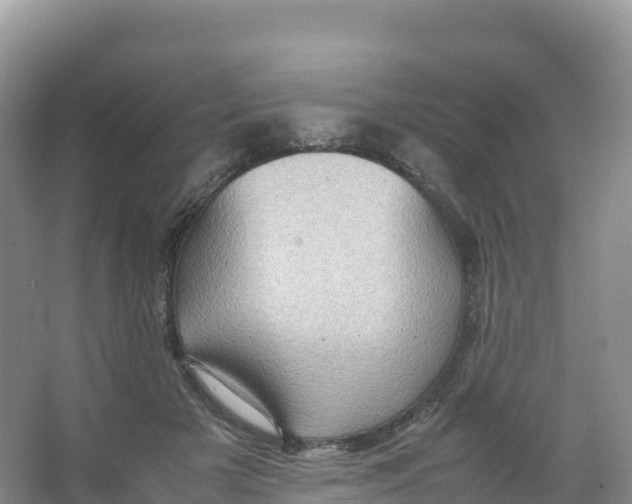 X0000066960505200604142119