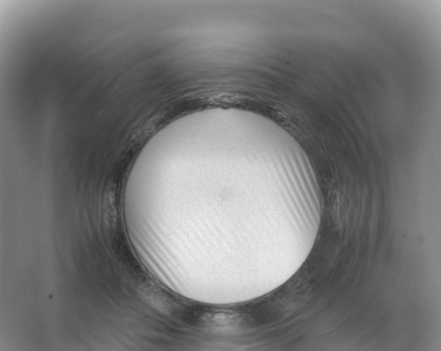 X0000066960506200604142118