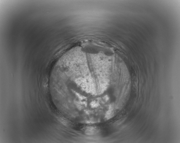 X0000066960507200604142118