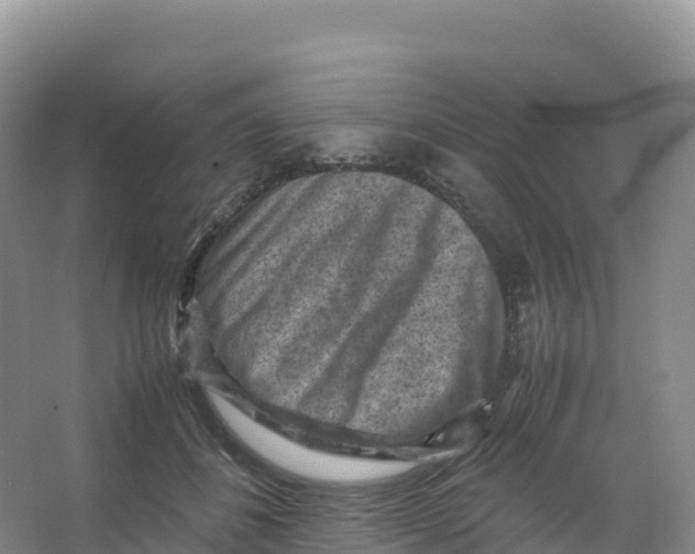 X0000066960508200604142118