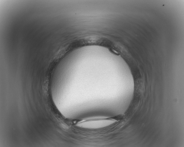 X0000066960509200604142118