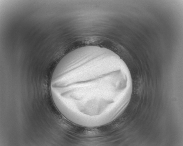 X0000066960510200604142118