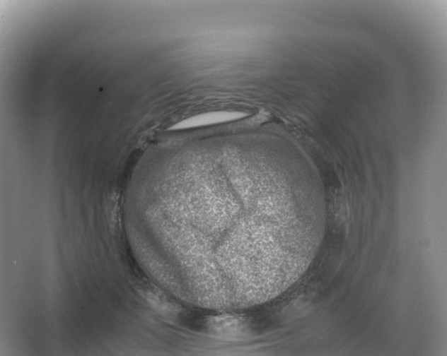 X0000066960511200604142118