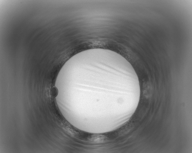 X0000066960514200604142118