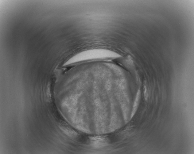 X0000066960516200604142118