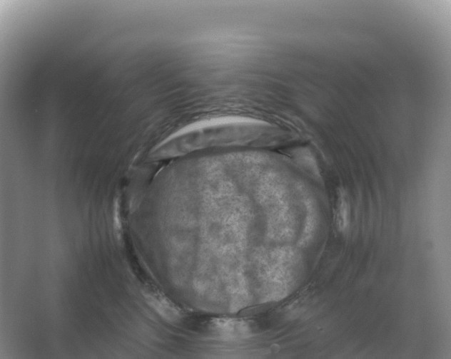 X0000066960520200604142118