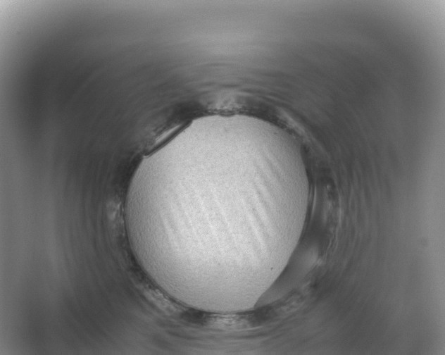 X0000066960521200604142118