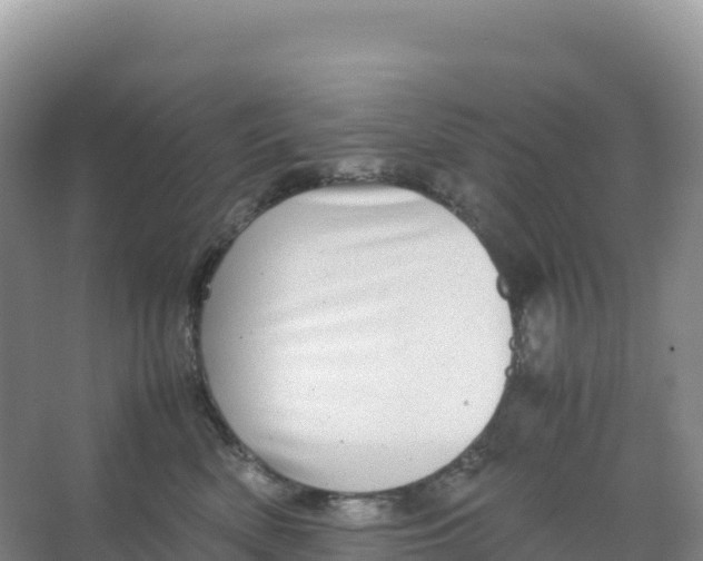 X0000066960522200604142118