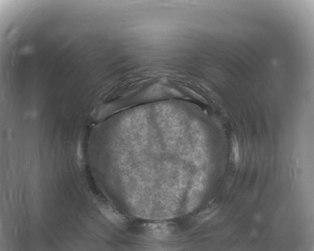 X0000066960524200604142118