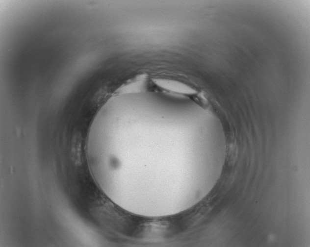 X0000066960525200604142118