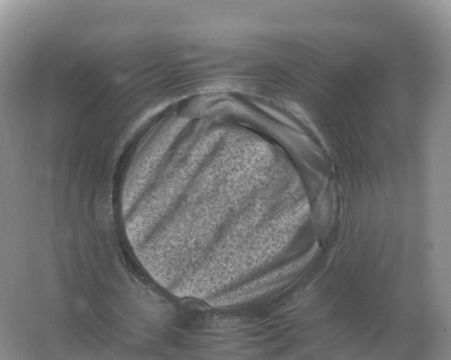 X0000066960531200604142117