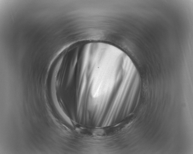 X0000066960532200604142117