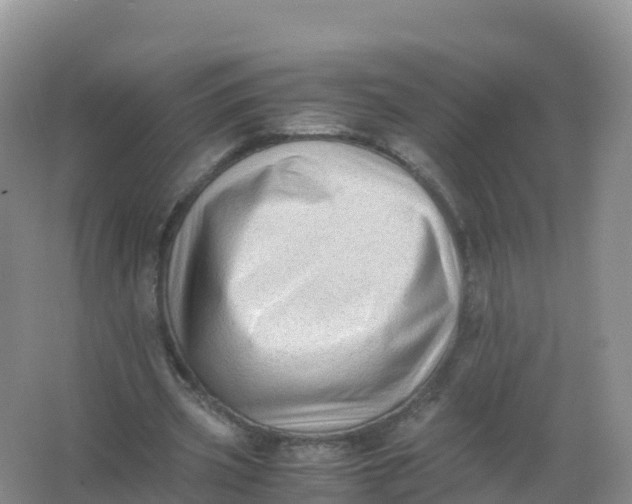 X0000066960533200604142117