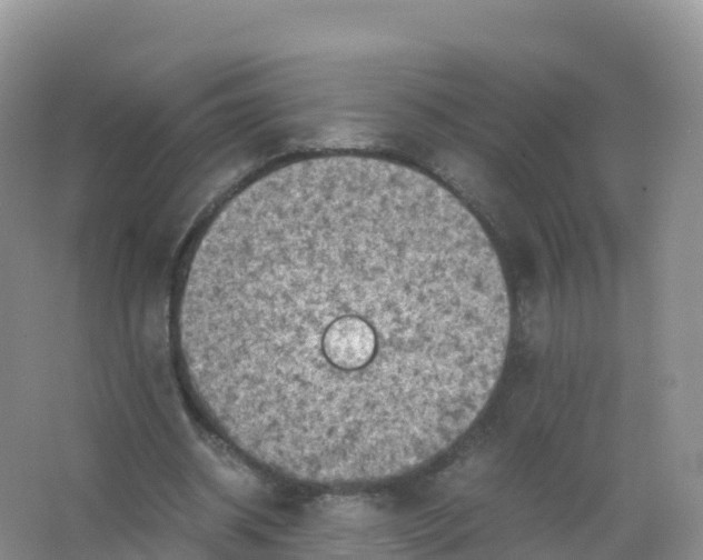 X0000066960534200604142117