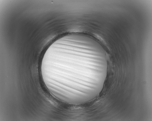 X0000066960535200604142117