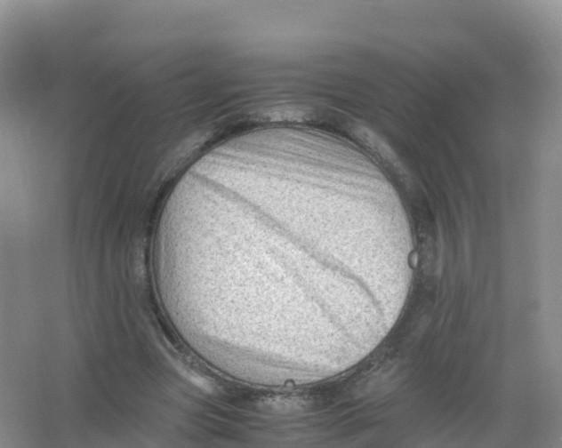 X0000066960537200604142117