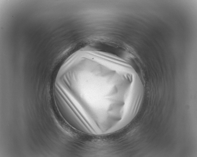 X0000066960538200604142117