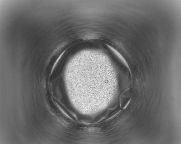 X0000066960539200604142117