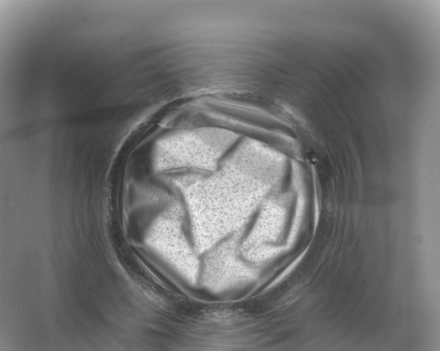 X0000066960540200604142118