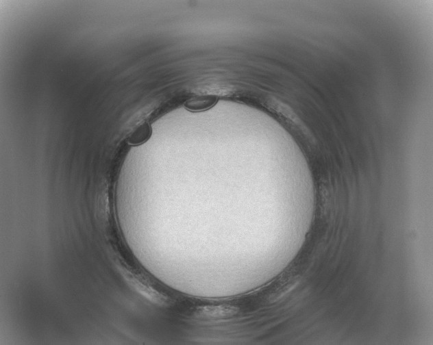 X0000066960541200604142118