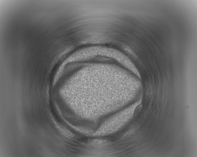 X0000066960542200604142118