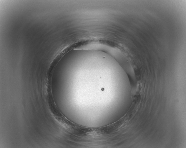 X0000066960544200604142118