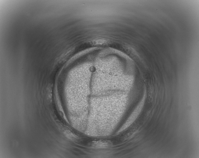 X0000066960545200604142118