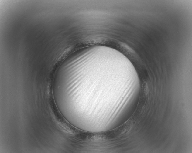 X0000066960546200604142118