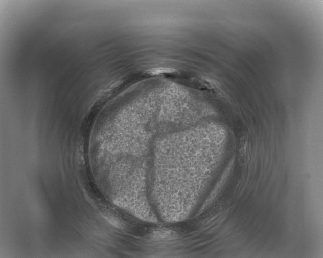 X0000066960547200604142118