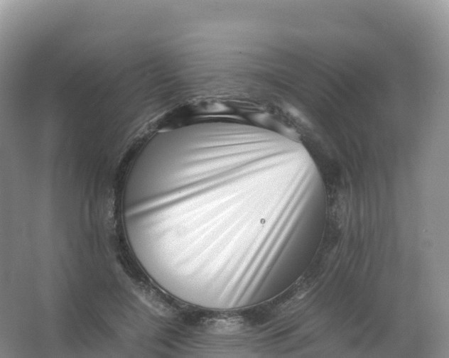 X0000066960548200604142118