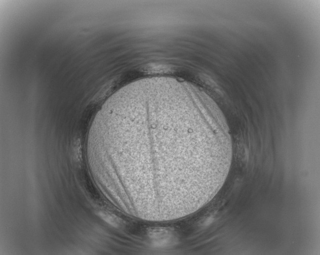 X0000066960549200604142118