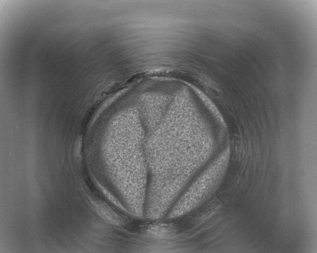 X0000066960550200604142118