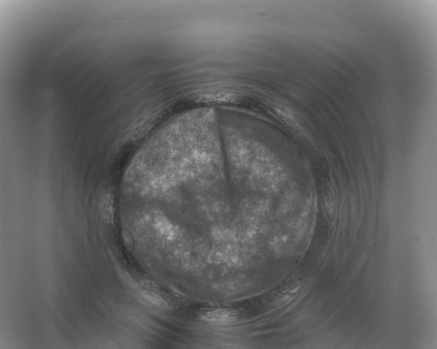 X0000066960551200604142118