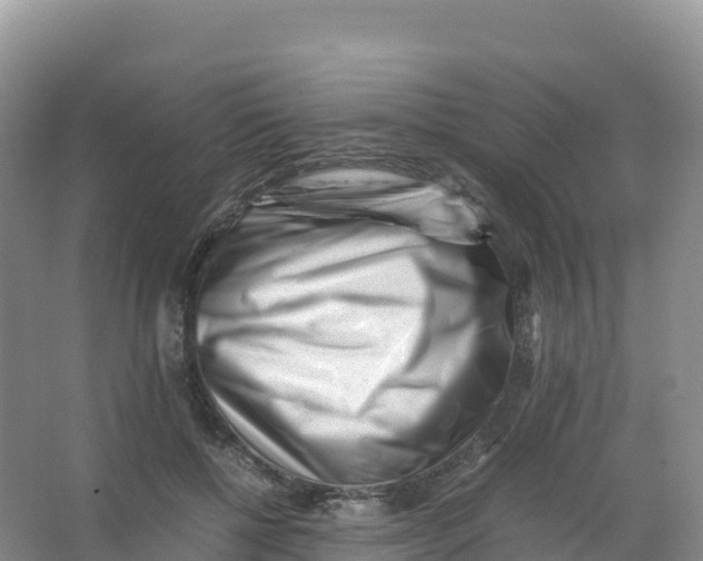 X0000066960552200604142118