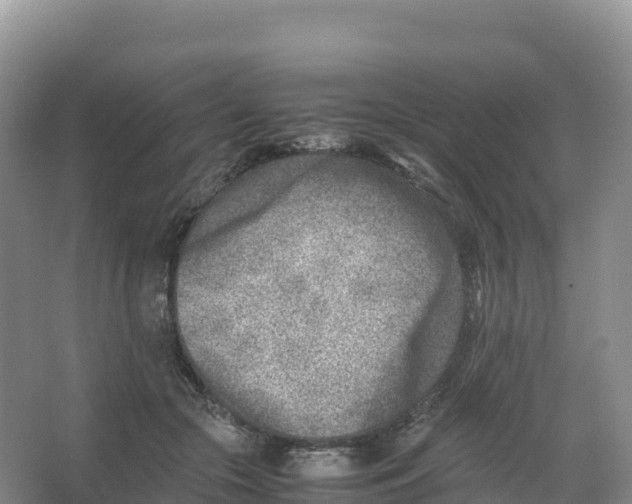 X0000066960553200604142118