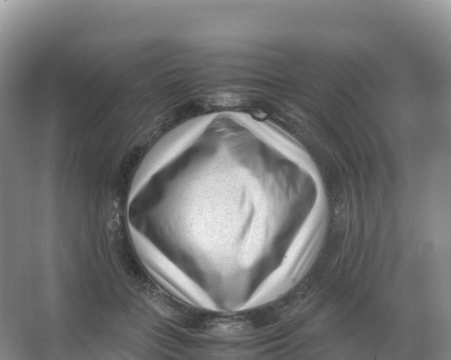 X0000066960555200604142118