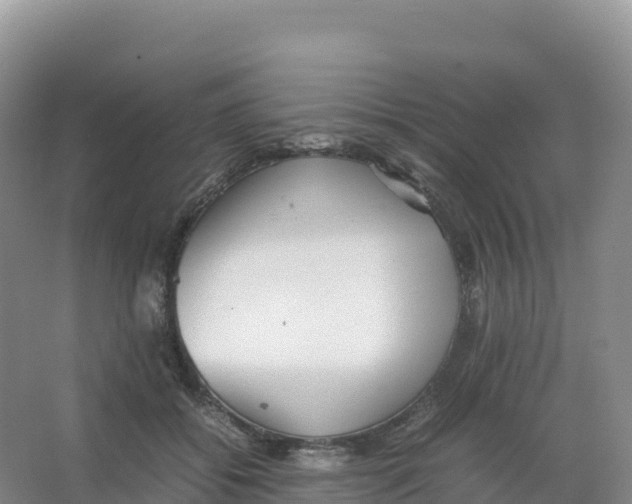 X0000066960556200604142118