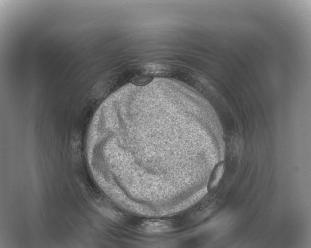 X0000066960557200604142118