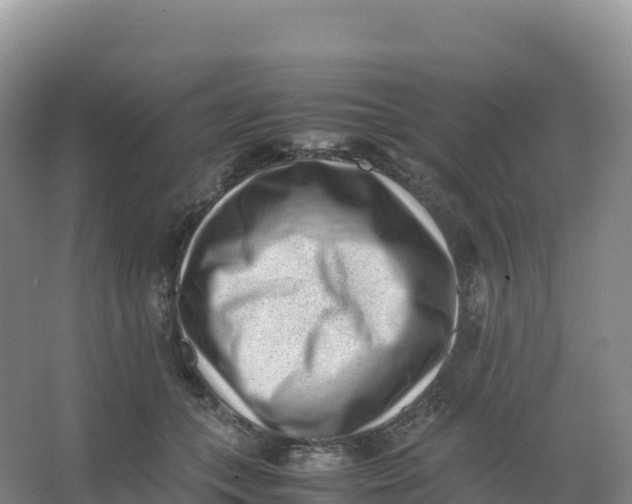 X0000066960559200604142118