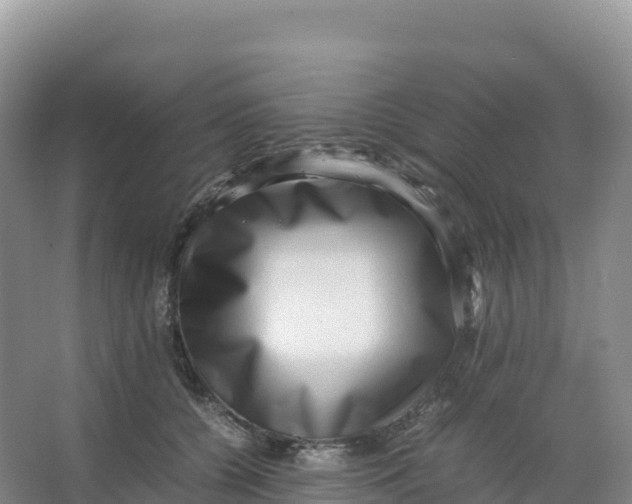 X0000066960560200604142118