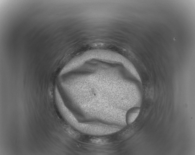 X0000066960561200604142118